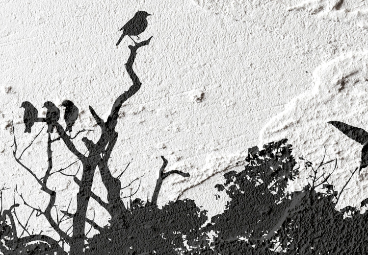 Canvas Bird Sanctuary (1-part) - Tree Shadow on Black and White Texture 117233 additionalImage 5