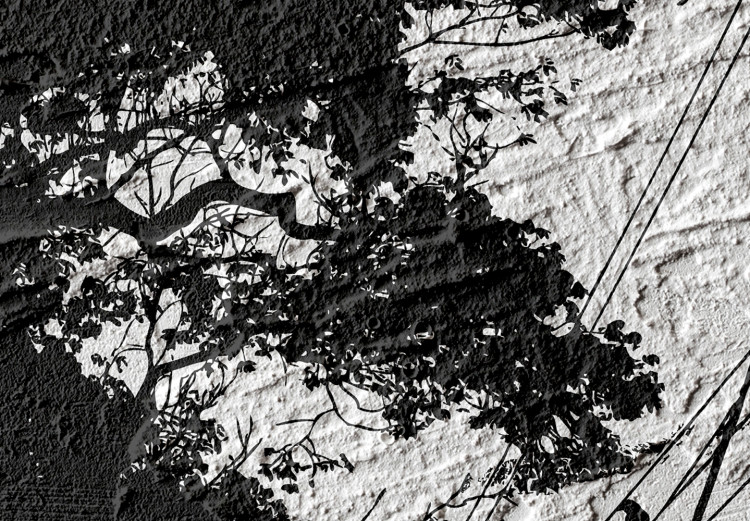 Canvas Bird Sanctuary (1-part) - Tree Shadow on Black and White Texture 117233 additionalImage 4