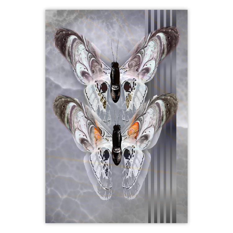 Poster Pair of Butterflies - modern composition with insects on a non-uniform background 118333