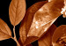 Poster September Night - flowers and leaves in autumn colors on black background 123933 additionalThumb 9