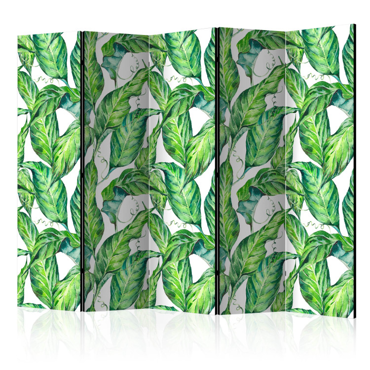 Room Divider Screen Long Leaves II (5-piece) - tropical plants on a white background 124033