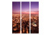 Room Divider Chicago Skyline (3-piece) - city architecture under the night sky 124233 additionalThumb 3