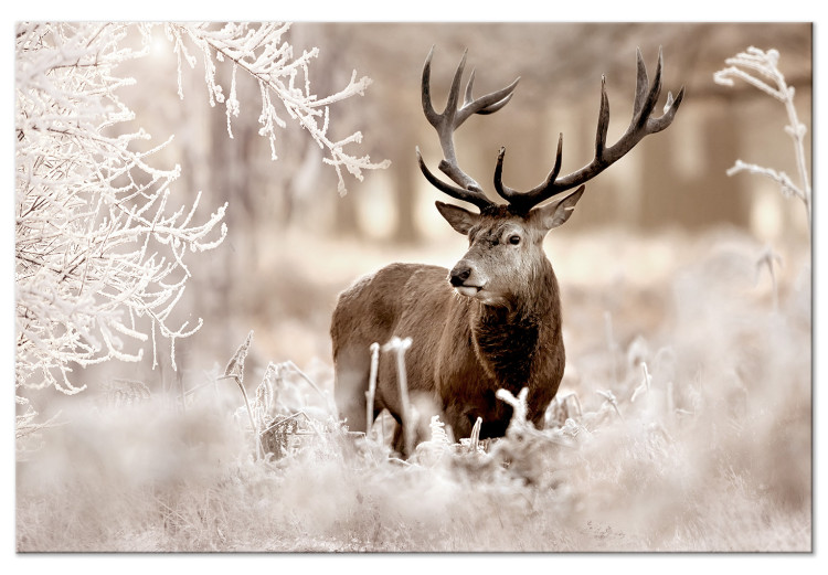 Large canvas print Deer in Sepia [Large Format] 125533