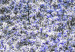 Large canvas print Magnolia Park - Violet [Large Format] 128633 additionalThumb 4