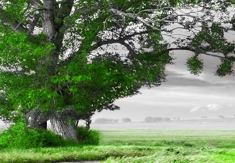 Large canvas print Tree near the Road - Green [Large Format] 128733 additionalImage 3