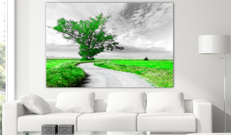 Large canvas print Tree near the Road - Green [Large Format] 128733 additionalImage 5