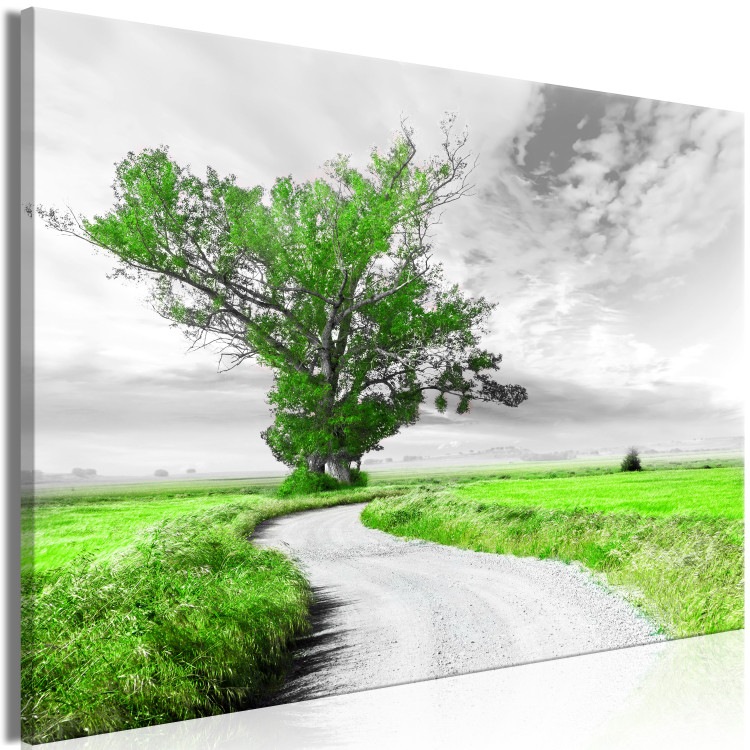 Large canvas print Tree near the Road - Green [Large Format] 128733 additionalImage 2