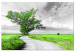 Large canvas print Tree near the Road - Green [Large Format] 128733