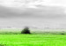 Large canvas print Tree near the Road - Green [Large Format] 128733 additionalThumb 4