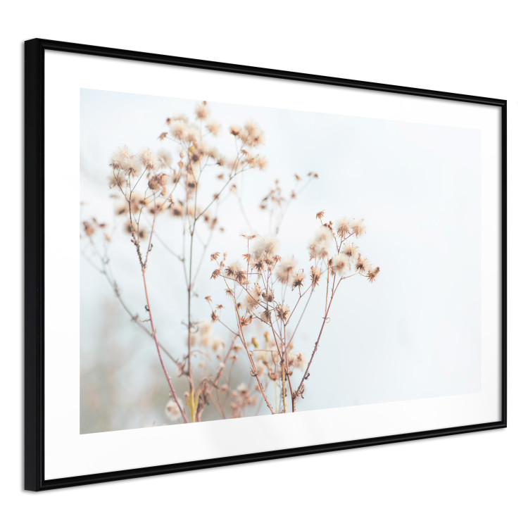 Wall Poster Cloudy Morning - plant landscape against a blurred background of bright sky 129833 additionalImage 2