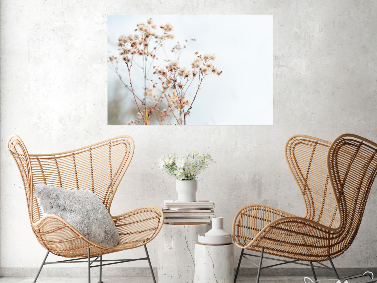 Wall Poster Cloudy Morning - plant landscape against a blurred background of bright sky 129833 additionalImage 5