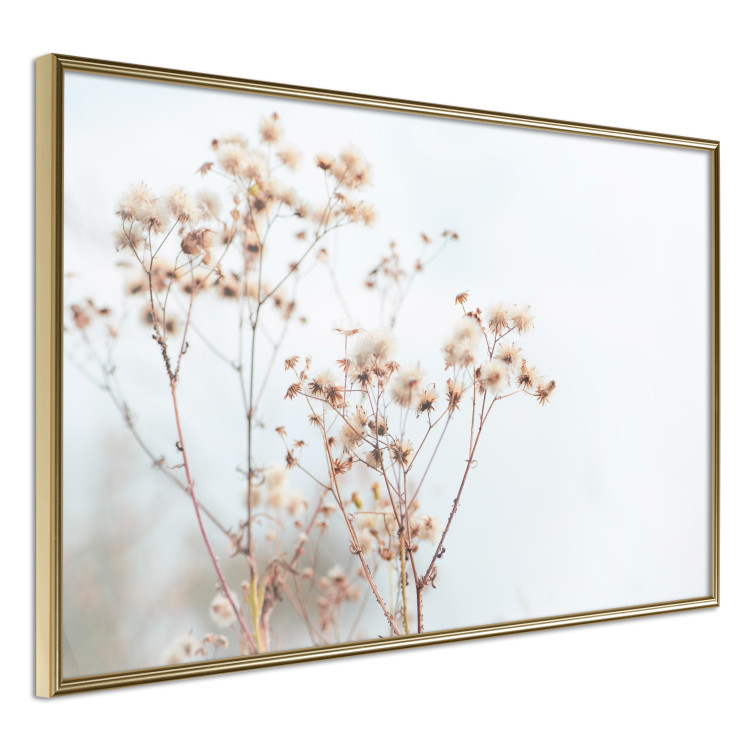 Wall Poster Cloudy Morning - plant landscape against a blurred background of bright sky 129833 additionalImage 10