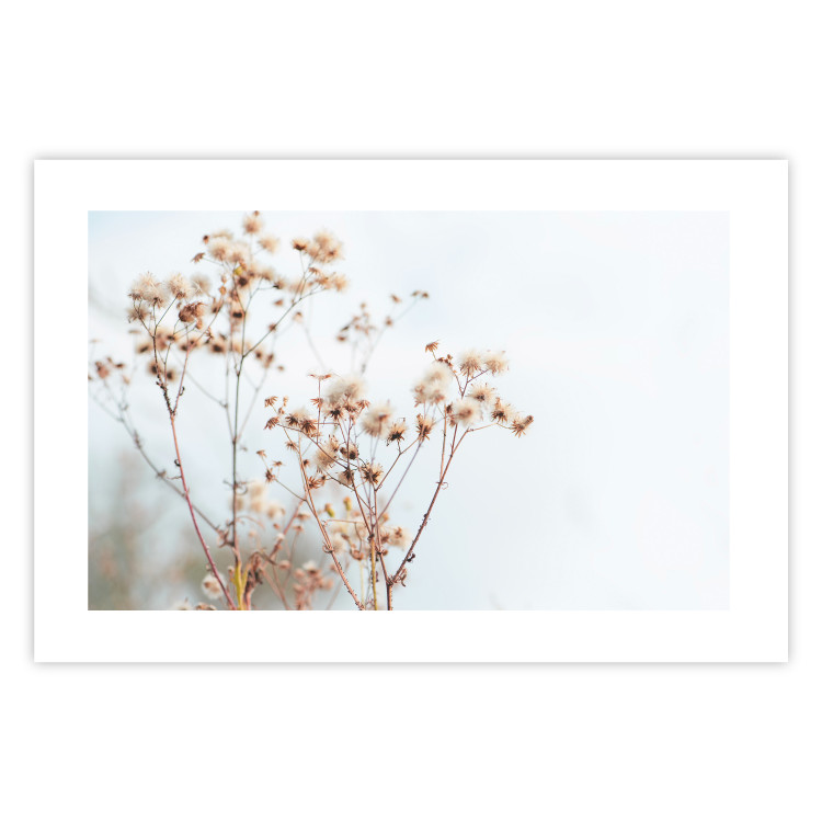 Wall Poster Cloudy Morning - plant landscape against a blurred background of bright sky 129833 additionalImage 19