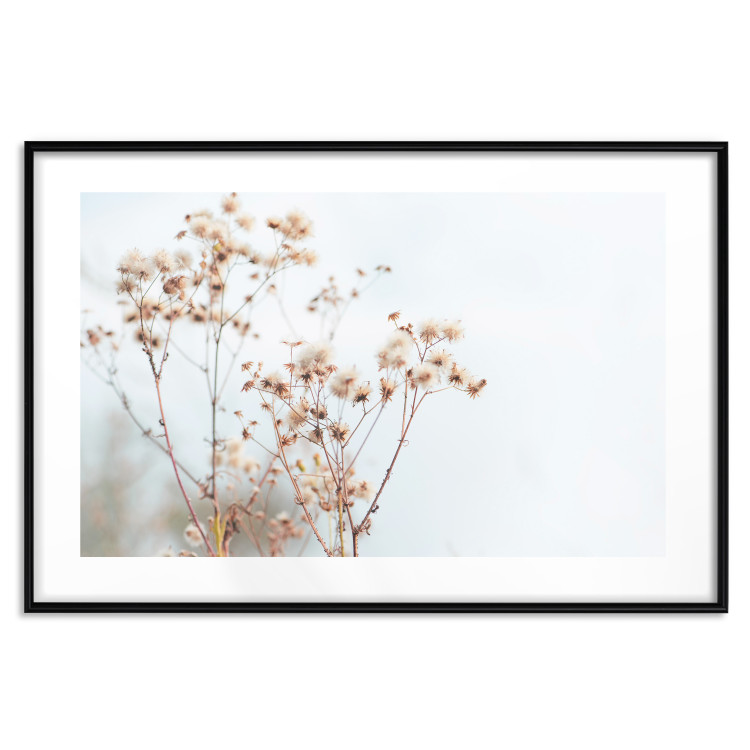 Wall Poster Cloudy Morning - plant landscape against a blurred background of bright sky 129833 additionalImage 15