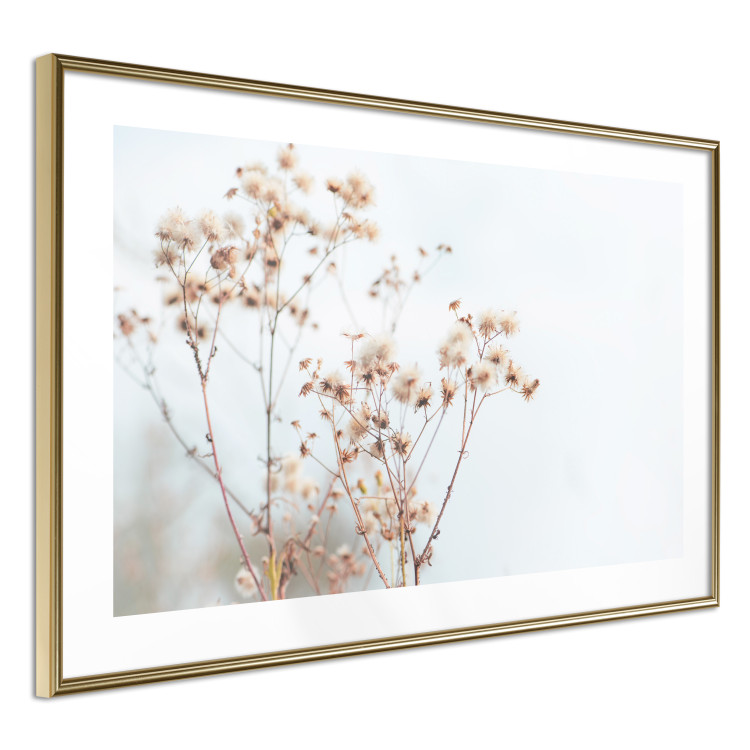 Wall Poster Cloudy Morning - plant landscape against a blurred background of bright sky 129833 additionalImage 6