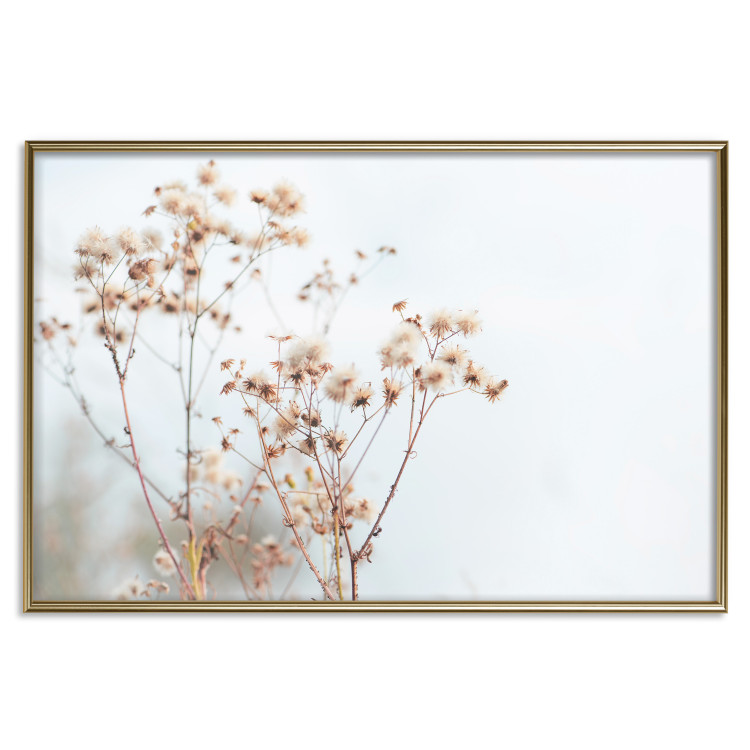 Wall Poster Cloudy Morning - plant landscape against a blurred background of bright sky 129833 additionalImage 17