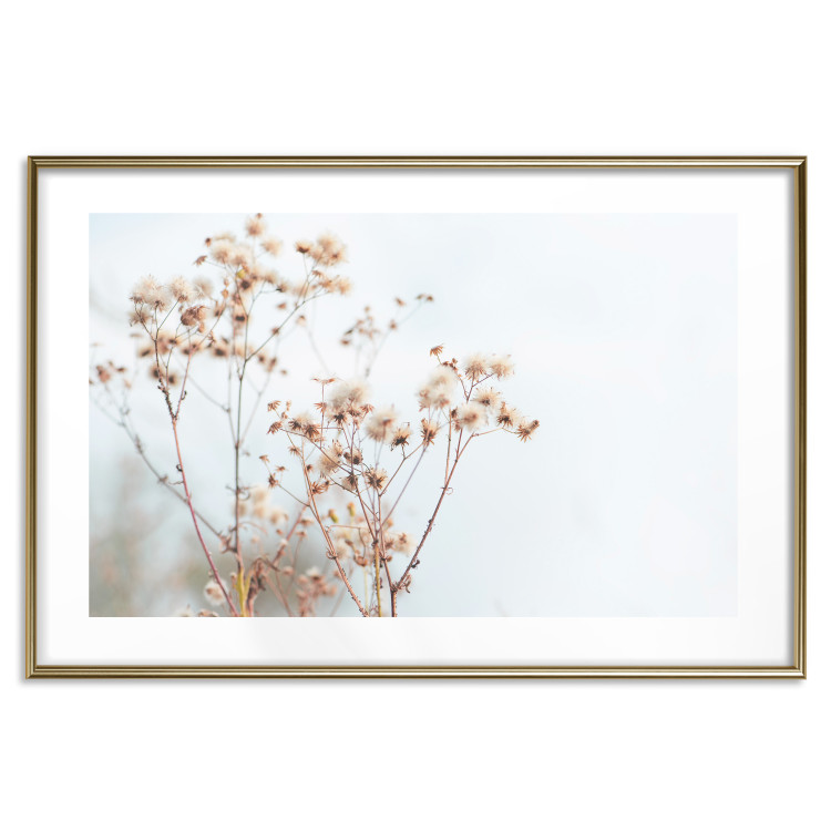 Wall Poster Cloudy Morning - plant landscape against a blurred background of bright sky 129833 additionalImage 14