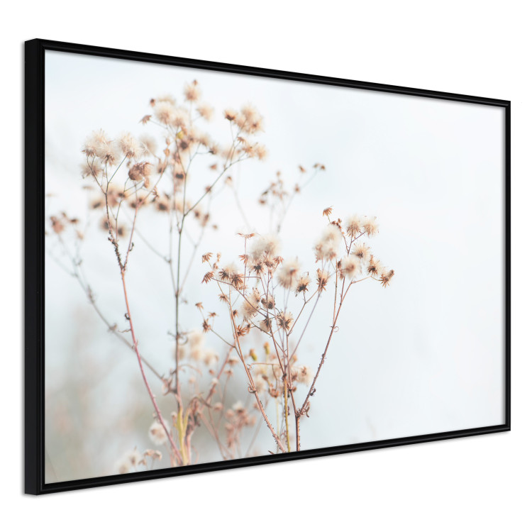 Wall Poster Cloudy Morning - plant landscape against a blurred background of bright sky 129833 additionalImage 11