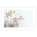Wall Poster Cloudy Morning - plant landscape against a blurred background of bright sky 129833 additionalThumb 19