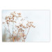 Wall Poster Cloudy Morning - plant landscape against a blurred background of bright sky 129833