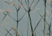 Wall Mural Garlic Flowers 131733 additionalThumb 3