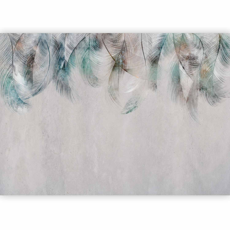 Wall Mural Colourful Feathers 132233 additionalImage 1