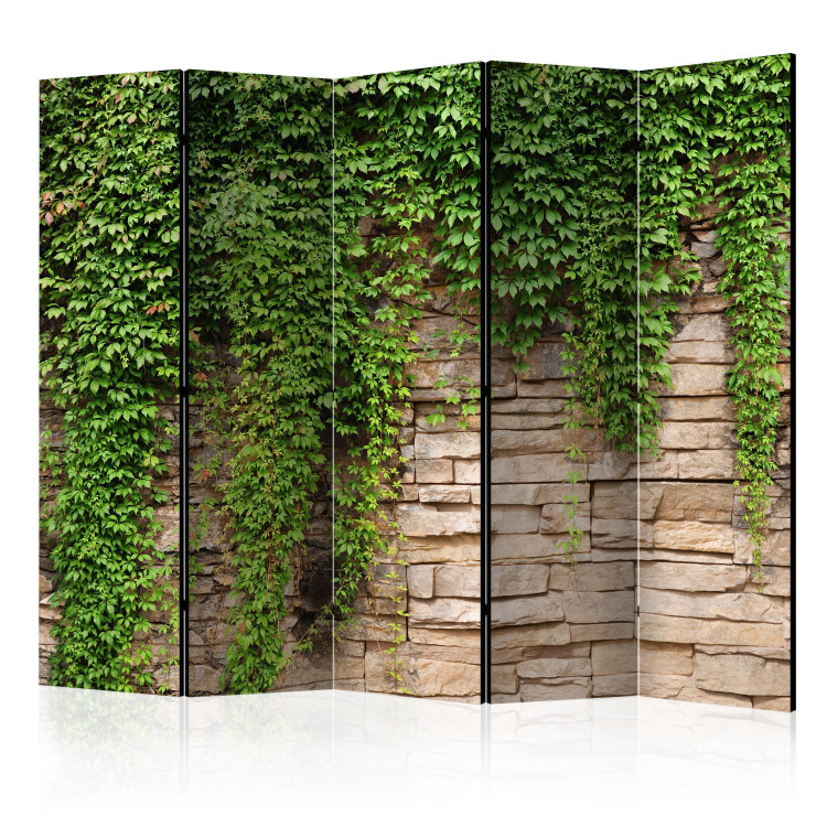 Folding Screen Ivy Wall II (5-piece) - beige bricks and green plants 132933