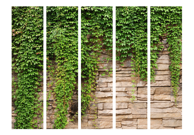 Folding Screen Ivy Wall II (5-piece) - beige bricks and green plants 132933 additionalImage 3