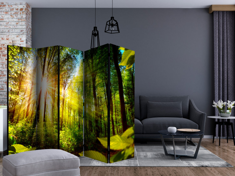 Room Divider Screen Forest Hideaway II - landscape scenery of a forest with bright sunlight 133833 additionalImage 4