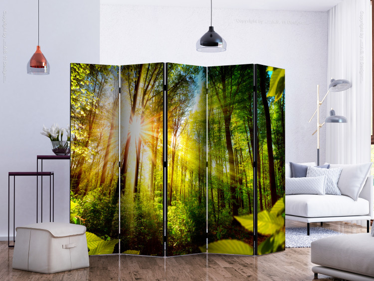 Room Divider Screen Forest Hideaway II - landscape scenery of a forest with bright sunlight 133833 additionalImage 2