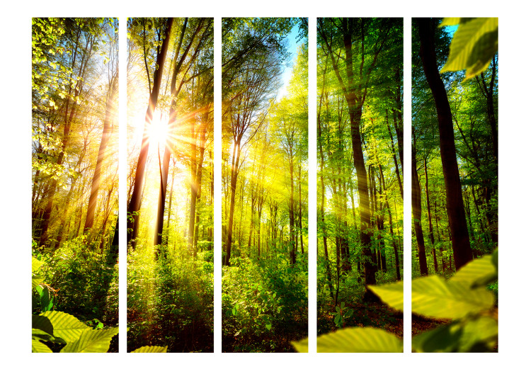 Room Divider Screen Forest Hideaway II - landscape scenery of a forest with bright sunlight 133833 additionalImage 3