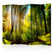 Room Divider Screen Forest Hideaway II - landscape scenery of a forest with bright sunlight 133833