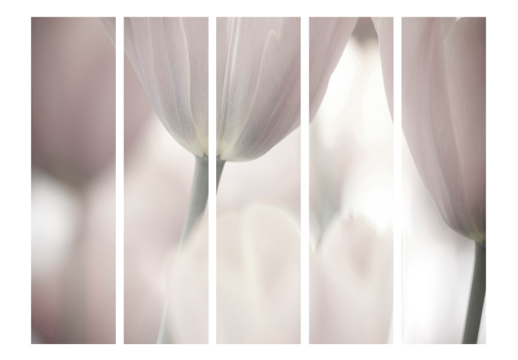 Room Separator Tulips Fine Art - Black and White II - tulips in faded colors 133933 additionalImage 3