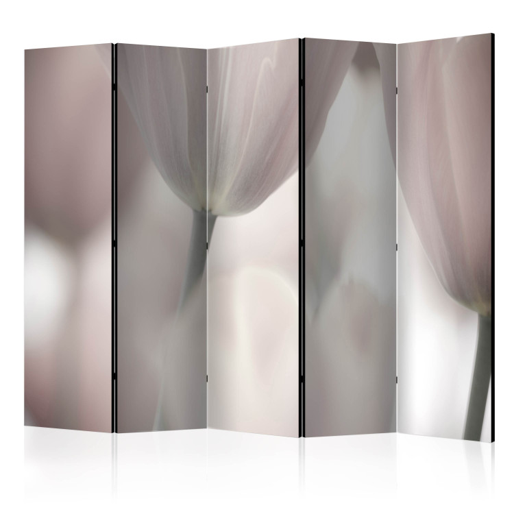 Room Separator Tulips Fine Art - Black and White II - tulips in faded colors 133933