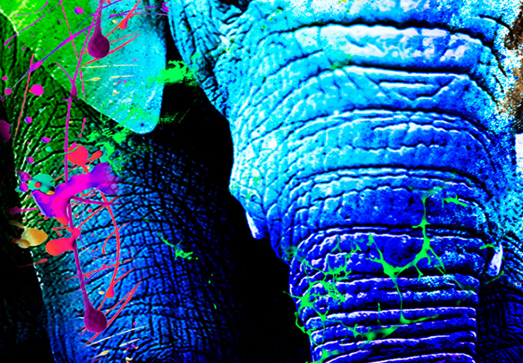 Large canvas print Colorful Elephants II [Large Format] 136433 additionalImage 5