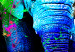 Large canvas print Colorful Elephants II [Large Format] 136433 additionalThumb 5