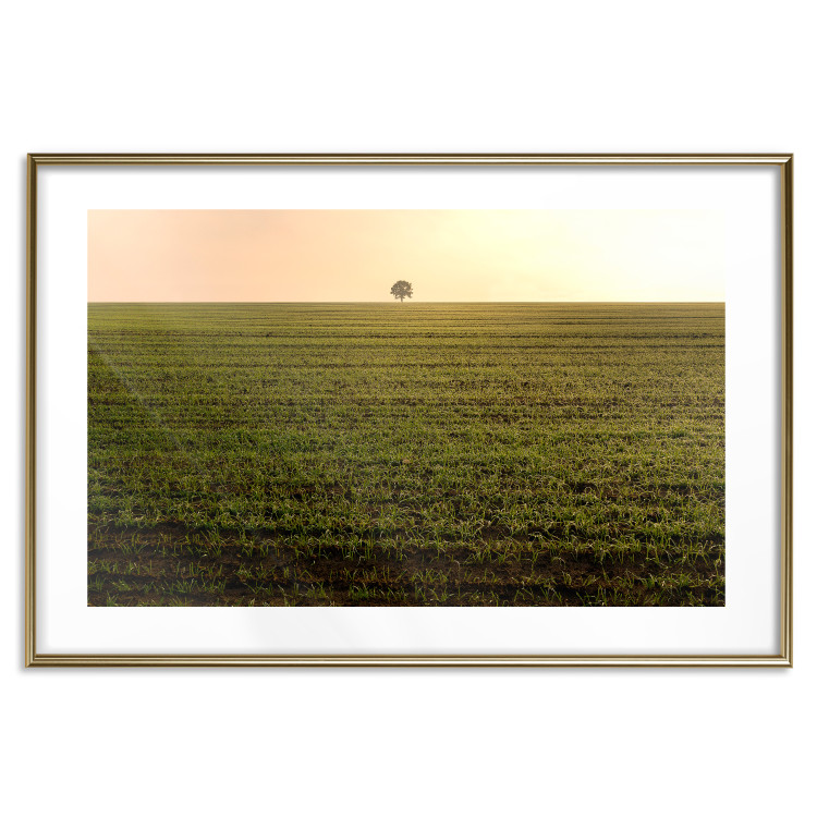 Poster Autumn Morning - landscape scenery of a field against the setting sun 141233 additionalImage 14