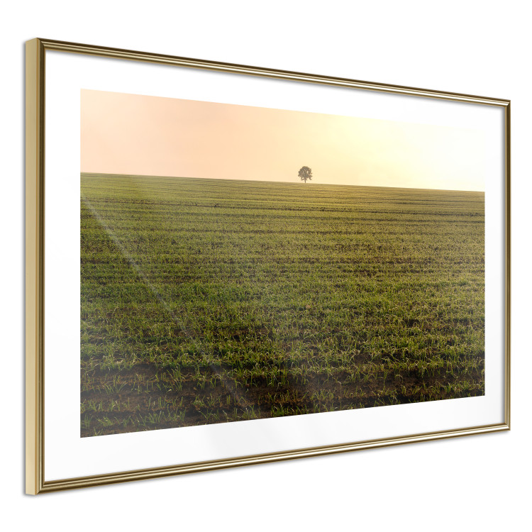 Poster Autumn Morning - landscape scenery of a field against the setting sun 141233 additionalImage 6