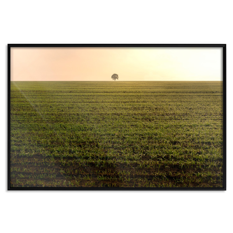 Poster Autumn Morning - landscape scenery of a field against the setting sun 141233 additionalImage 18