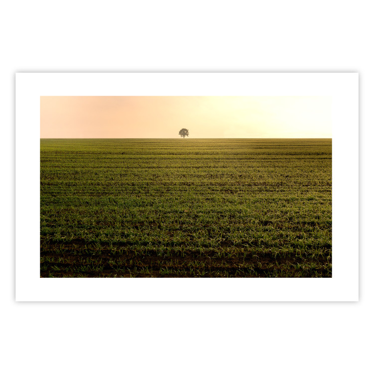 Poster Autumn Morning - landscape scenery of a field against the setting sun 141233 additionalImage 19
