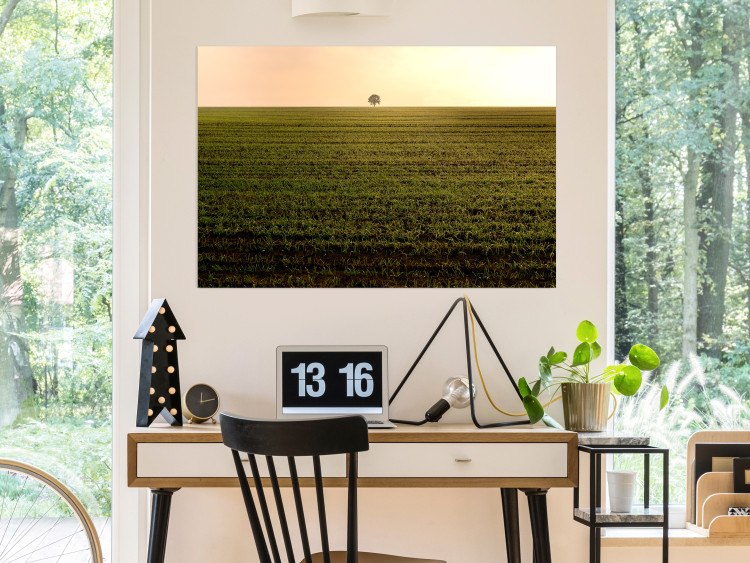 Poster Autumn Morning - landscape scenery of a field against the setting sun 141233 additionalImage 17