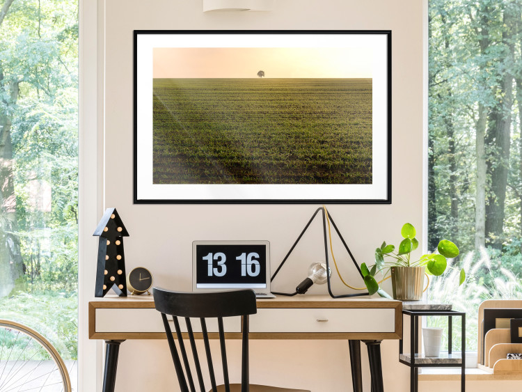 Poster Autumn Morning - landscape scenery of a field against the setting sun 141233 additionalImage 4