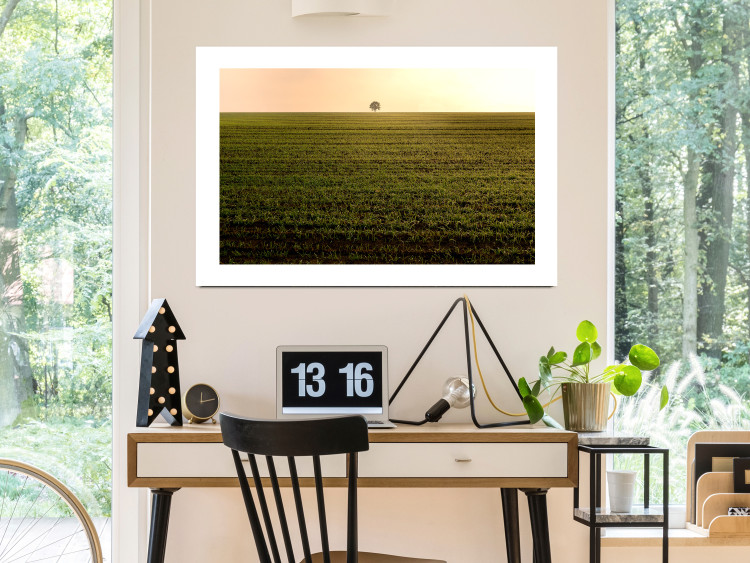 Poster Autumn Morning - landscape scenery of a field against the setting sun 141233 additionalImage 2