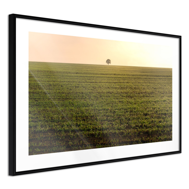 Poster Autumn Morning - landscape scenery of a field against the setting sun 141233 additionalImage 11