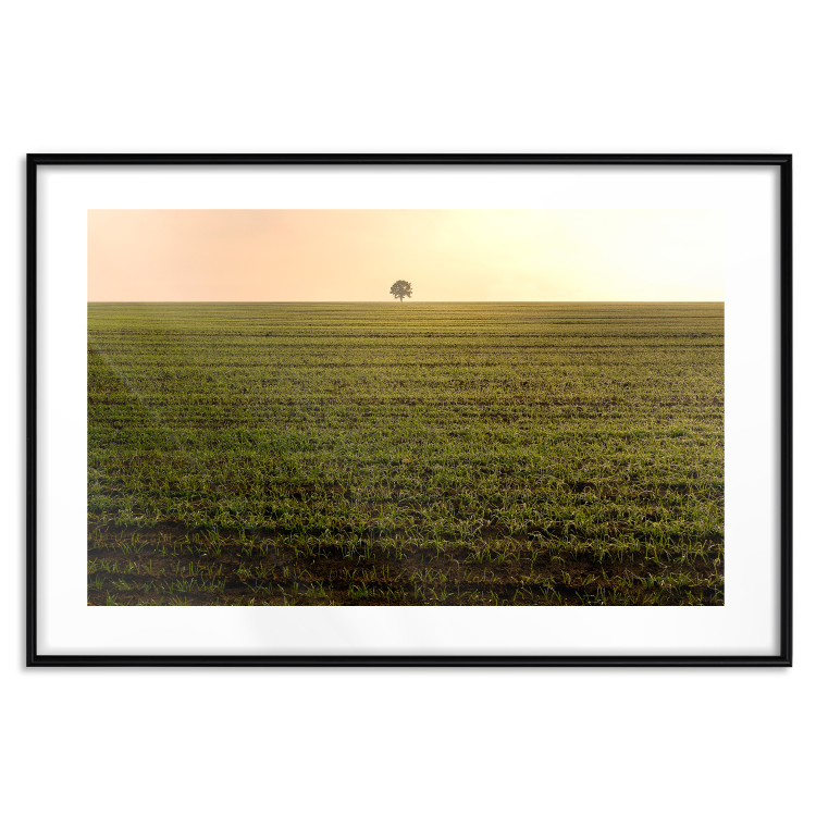 Poster Autumn Morning - landscape scenery of a field against the setting sun 141233 additionalImage 15