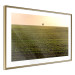 Poster Autumn Morning - landscape scenery of a field against the setting sun 141233 additionalThumb 6