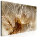 Canvas Print Dandelions in the Wind (1-piece) Wide - flowers in shades of gold 143233 additionalThumb 2