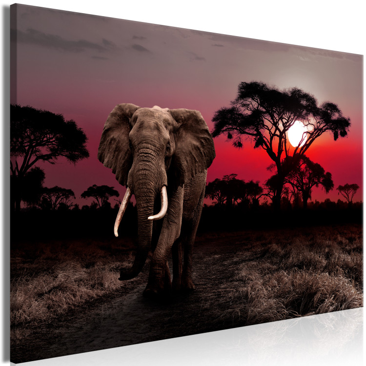 Canvas African Journey (1-piece) wide - third variant - elephant 145133 additionalImage 2