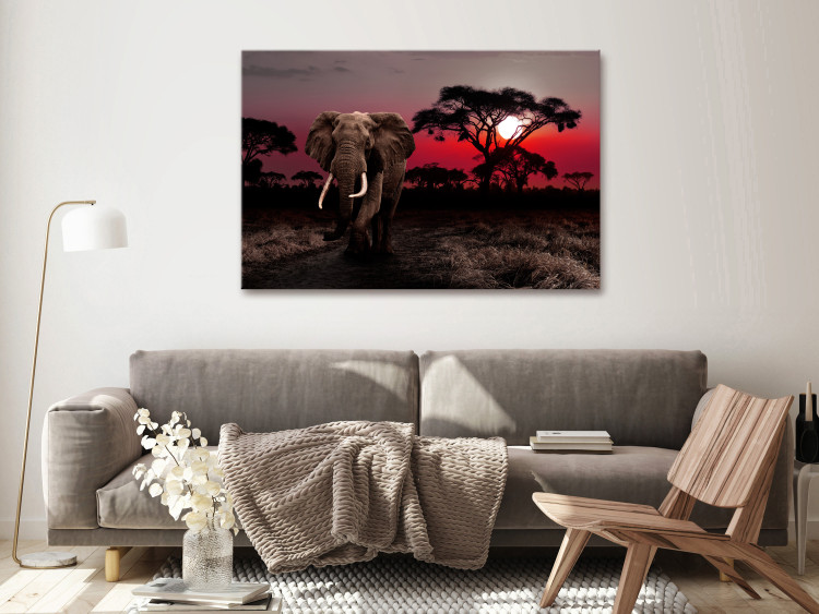 Canvas African Journey (1-piece) wide - third variant - elephant 145133 additionalImage 3
