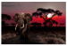 Canvas African Journey (1-piece) wide - third variant - elephant 145133
